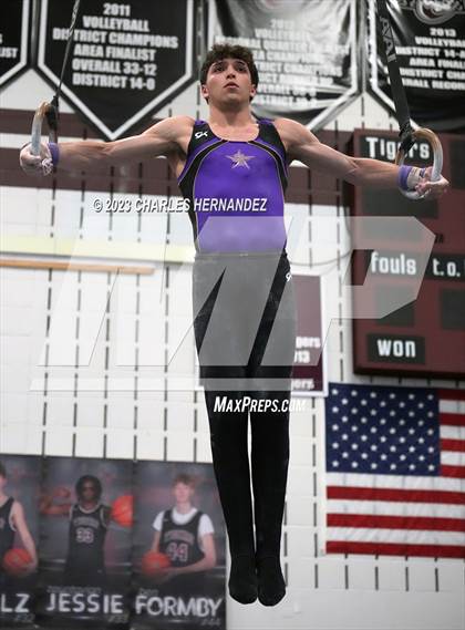 Thumbnail 3 in THSGCA State Meet (Rings-Optional) photogallery.