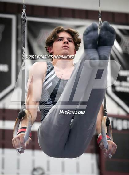 Thumbnail 1 in THSGCA State Meet (Rings-Optional) photogallery.