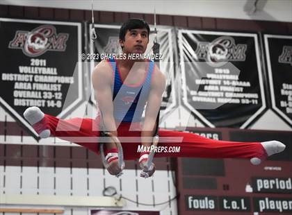 Thumbnail 2 in THSGCA State Meet (Rings-Optional) photogallery.