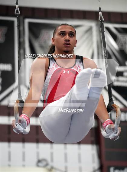 Thumbnail 3 in THSGCA State Meet (Rings-Optional) photogallery.