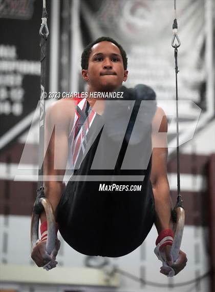 Thumbnail 1 in THSGCA State Meet (Rings-Optional) photogallery.