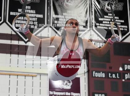 Thumbnail 1 in THSGCA State Meet (Rings-Optional) photogallery.