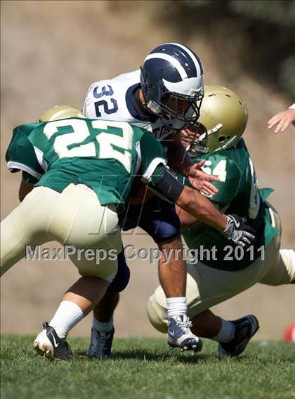 Thumbnail 2 in Aptos @ Harbor photogallery.