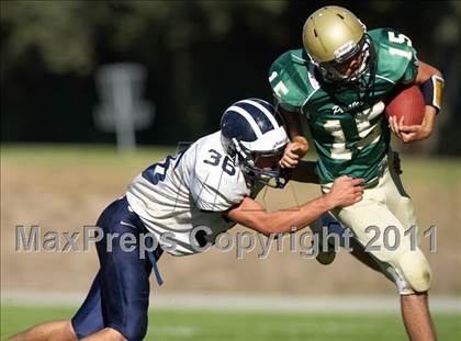 Thumbnail 3 in Aptos @ Harbor photogallery.