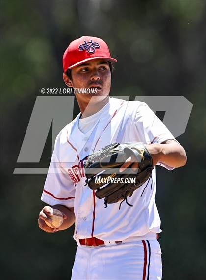 Thumbnail 1 in More @ Saratoga photogallery.