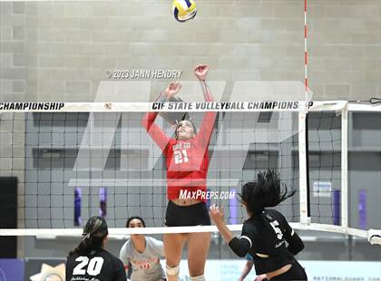 Thumbnail 3 in Archbishop Mitty @ Mater Dei (CIF State Open Division Finals) photogallery.