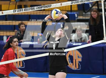 Thumbnail 3 in Archbishop Mitty @ Mater Dei (CIF State Open Division Finals) photogallery.