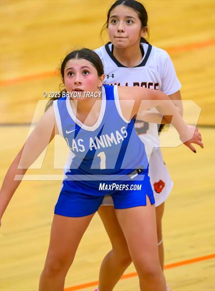 Thumbnail 1 in JV: Las Animas @ Syracuse photogallery.