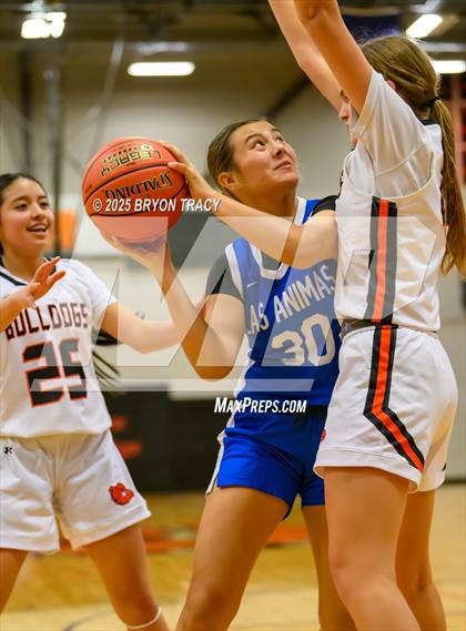Thumbnail 2 in JV: Las Animas @ Syracuse photogallery.