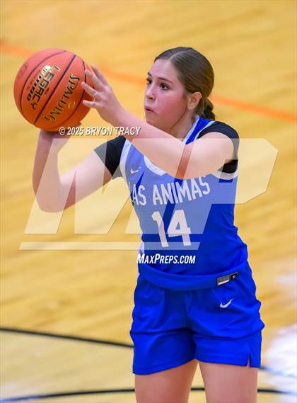 Thumbnail 3 in JV: Las Animas @ Syracuse photogallery.