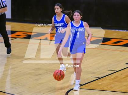 Thumbnail 3 in JV: Las Animas @ Syracuse photogallery.