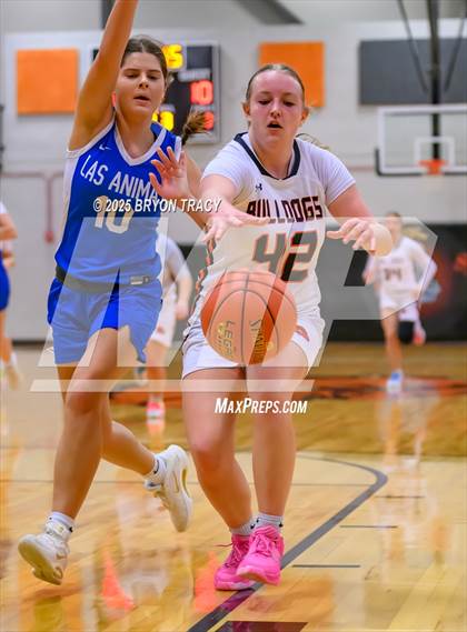 Thumbnail 1 in JV: Las Animas @ Syracuse photogallery.