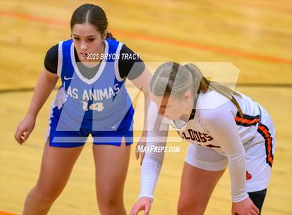 Thumbnail 3 in JV: Las Animas @ Syracuse photogallery.