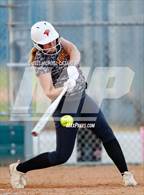 Photo from the gallery "Torrey Pines @ Del Norte"