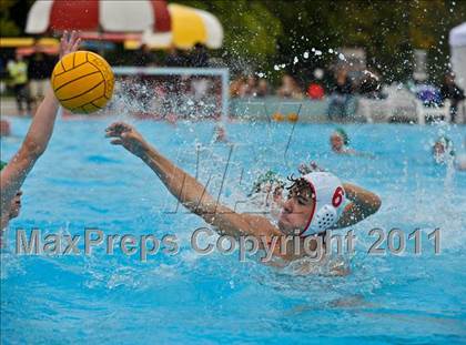 Thumbnail 3 in Medford @ Sheldon photogallery.