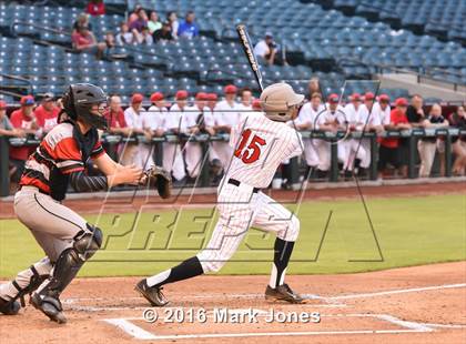 Thumbnail 2 in Coconino vs. Boulder Creek (at Chase Field) photogallery.