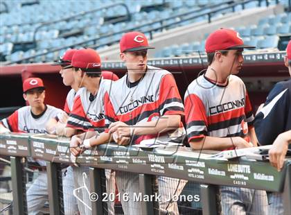 Thumbnail 2 in Coconino vs. Boulder Creek (at Chase Field) photogallery.
