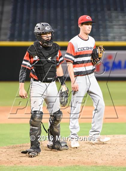 Thumbnail 2 in Coconino vs. Boulder Creek (at Chase Field) photogallery.