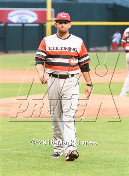 Thumbnail 1 in Coconino vs. Boulder Creek (at Chase Field) photogallery.