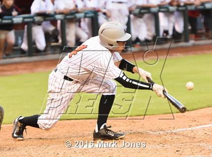 Thumbnail 1 in Coconino vs. Boulder Creek (at Chase Field) photogallery.