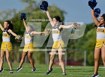 Thumbnail 1 in Neuqua Valley photogallery.