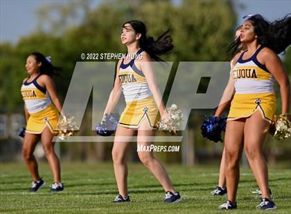 Thumbnail 2 in Neuqua Valley photogallery.