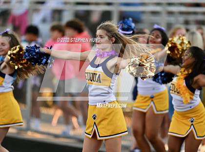 Thumbnail 1 in Neuqua Valley photogallery.