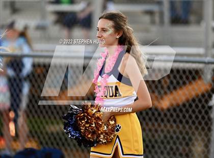 Thumbnail 2 in Neuqua Valley photogallery.
