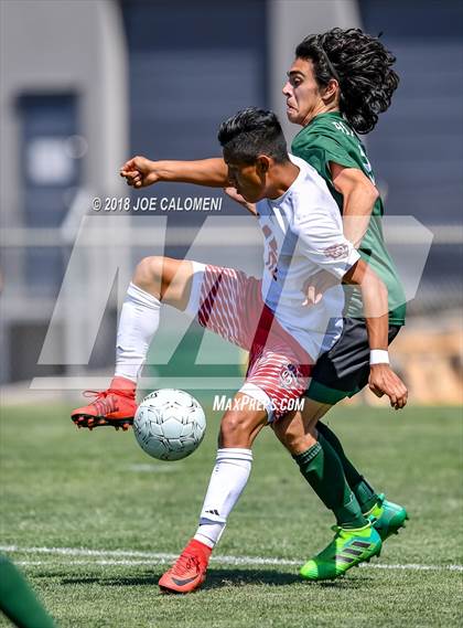 Thumbnail 1 in Lee [Robert E.] vs Reagan [Ronald] (Class 6A Region 4 Final) photogallery.