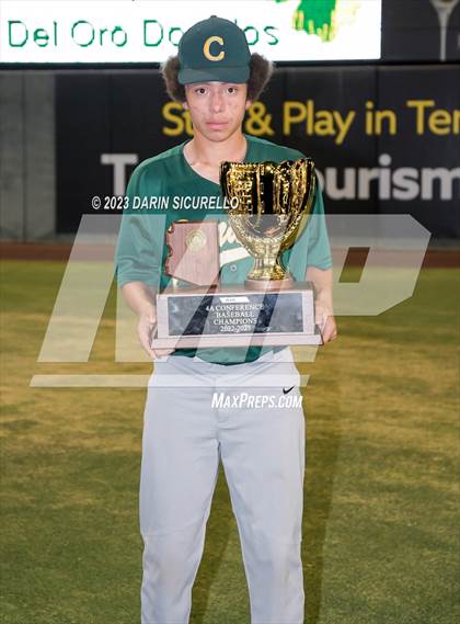Thumbnail 1 in Saguaro vs. Canyon del Oro (AIA 4A Final - Awards)  photogallery.