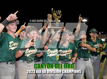 Thumbnail 2 in Saguaro vs. Canyon del Oro (AIA 4A Final - Awards)  photogallery.