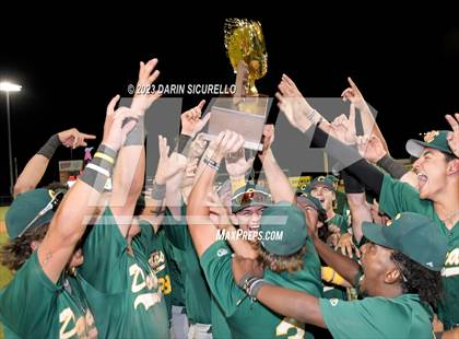 Thumbnail 1 in Saguaro vs. Canyon del Oro (AIA 4A Final - Awards)  photogallery.