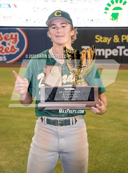 Thumbnail 1 in Saguaro vs. Canyon del Oro (AIA 4A Final - Awards)  photogallery.