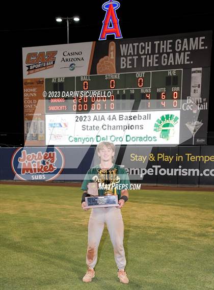 Thumbnail 1 in Saguaro vs. Canyon del Oro (AIA 4A Final - Awards)  photogallery.
