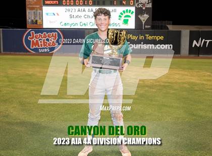 Thumbnail 3 in Saguaro vs. Canyon del Oro (AIA 4A Final - Awards)  photogallery.