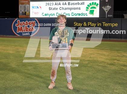 Thumbnail 2 in Saguaro vs. Canyon del Oro (AIA 4A Final - Awards)  photogallery.