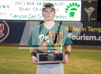 Thumbnail 3 in Saguaro vs. Canyon del Oro (AIA 4A Final - Awards)  photogallery.