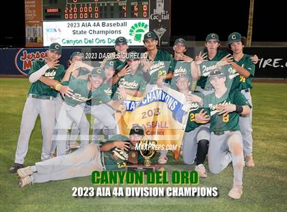 Thumbnail 1 in Saguaro vs. Canyon del Oro (AIA 4A Final - Awards)  photogallery.