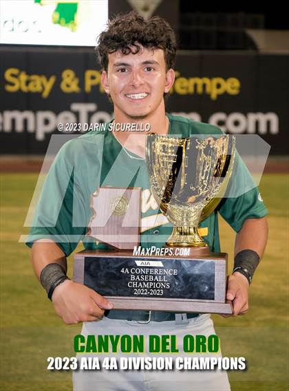 Thumbnail 1 in Saguaro vs. Canyon del Oro (AIA 4A Final - Awards)  photogallery.