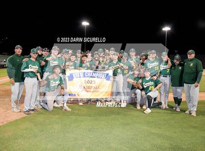 Thumbnail 1 in Saguaro vs. Canyon del Oro (AIA 4A Final - Awards)  photogallery.