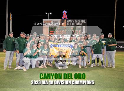 Thumbnail 2 in Saguaro vs. Canyon del Oro (AIA 4A Final - Awards)  photogallery.