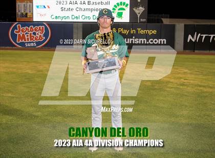 Thumbnail 1 in Saguaro vs. Canyon del Oro (AIA 4A Final - Awards)  photogallery.