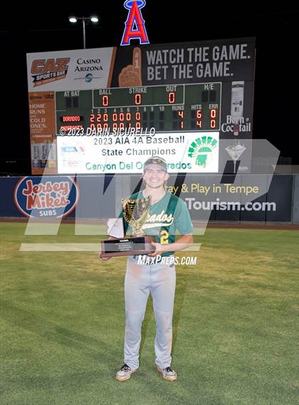 Thumbnail 1 in Saguaro vs. Canyon del Oro (AIA 4A Final - Awards)  photogallery.