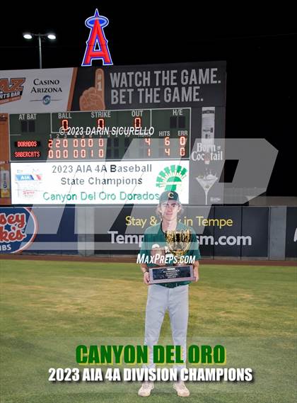 Thumbnail 1 in Saguaro vs. Canyon del Oro (AIA 4A Final - Awards)  photogallery.