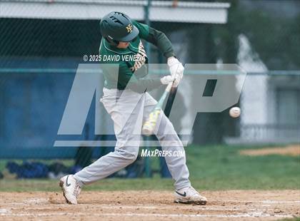 Thumbnail 1 in New Providence @ Scotch Plains-Fanwood photogallery.