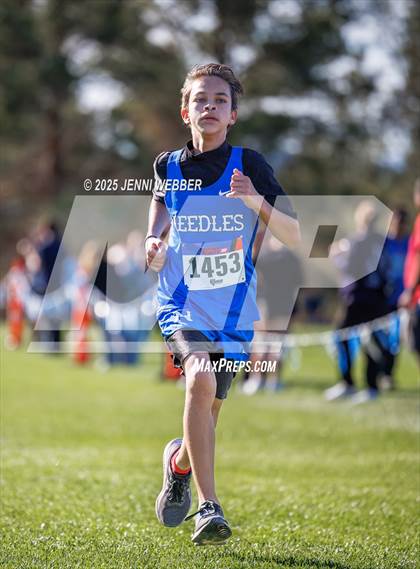 Thumbnail 3 in NIAA 2A Southern Regional photogallery.