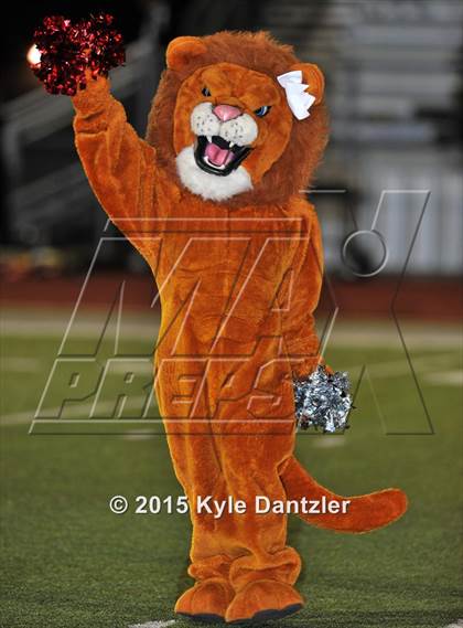 Thumbnail 1 in Nocona @ Ponder photogallery.