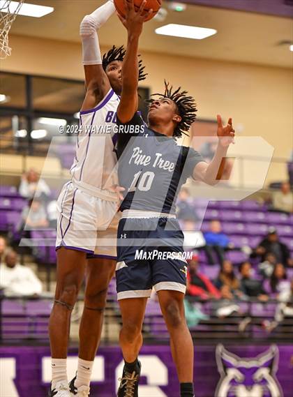 Thumbnail 2 in Pine Tree @ Hallsville photogallery.