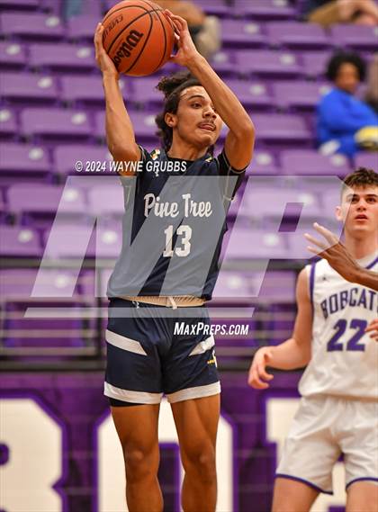 Thumbnail 3 in Pine Tree @ Hallsville photogallery.