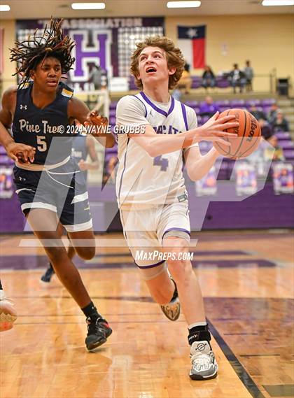 Thumbnail 1 in Pine Tree @ Hallsville photogallery.